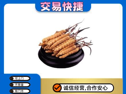 焦作中站区礼品回收散虫草.jpg